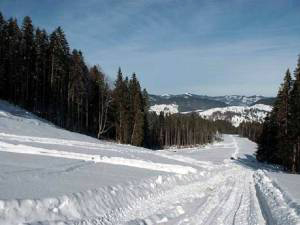 CJ Suceava cere Ministerului Turismului bani pentru decontarea lucrărilor executate la pârtia de schi din Rarău