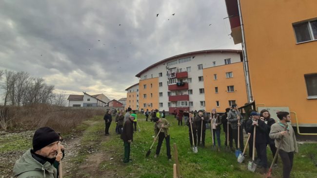 Elevii romașcani au plantat câteva sute de puieți în cartierul ANL