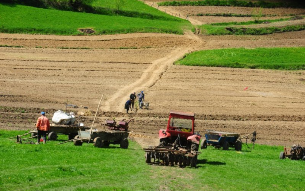 Iniţiativă a Primăriei Târnăveni pentru asocierea producătorilor agricoli locali, în vederea dezvoltării cu fonduri UE