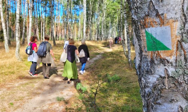 Conceptul finlandez de zonă de linişte – dezvoltat la Braşov ca produs turistic, în cadrul unui proiect european