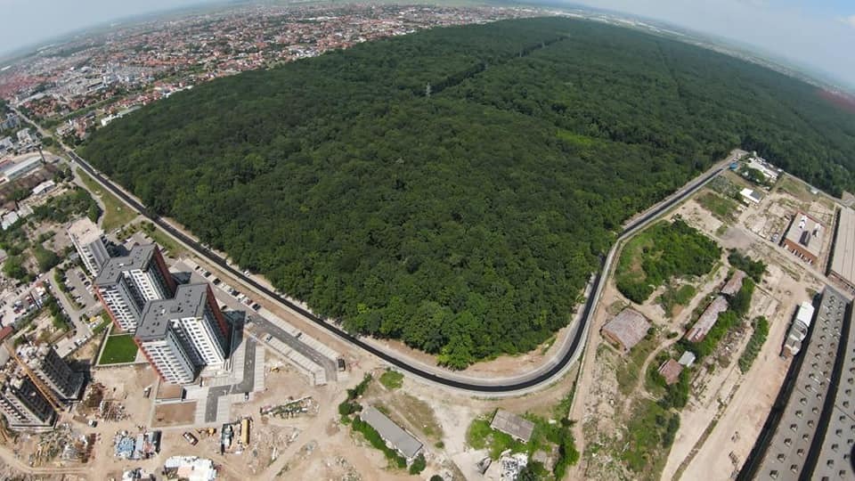 Primăria Municipiului Timișoara a scos la licitație serviciile de proiectare pentru proiectul Pădurea Verde